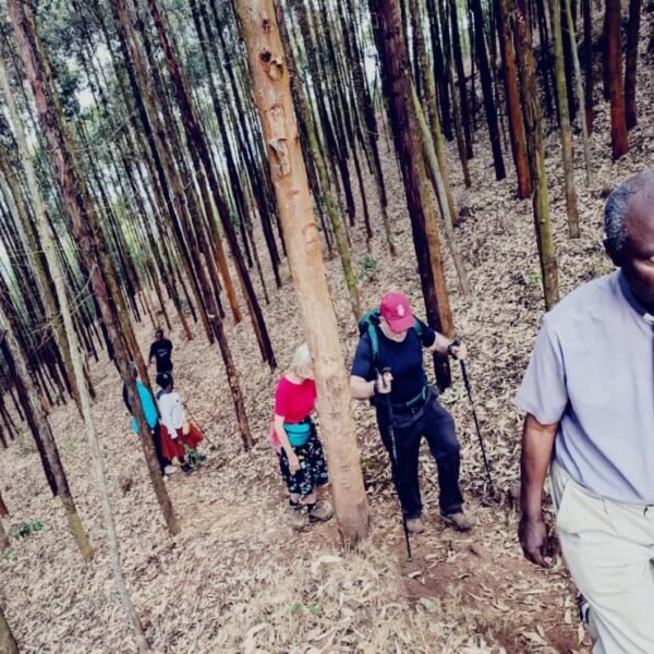 prayer walks